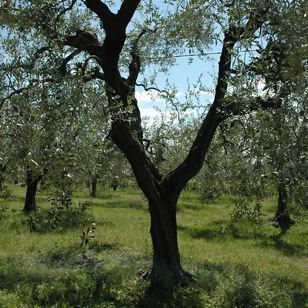 La Luna - Dependance